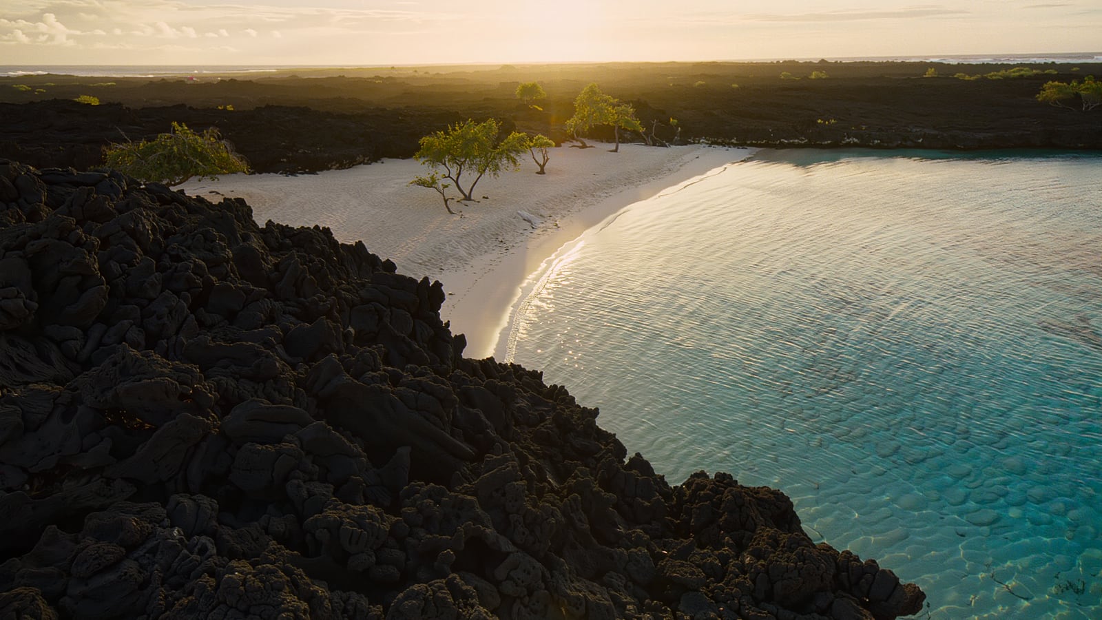 Black lava meeting a white-sand cove and turquoise water on the Kohala Coast