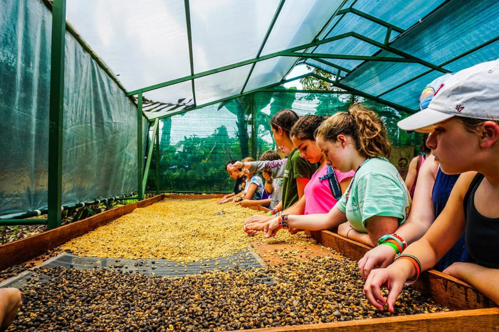 Costa Rican coffee and cacao tasting
