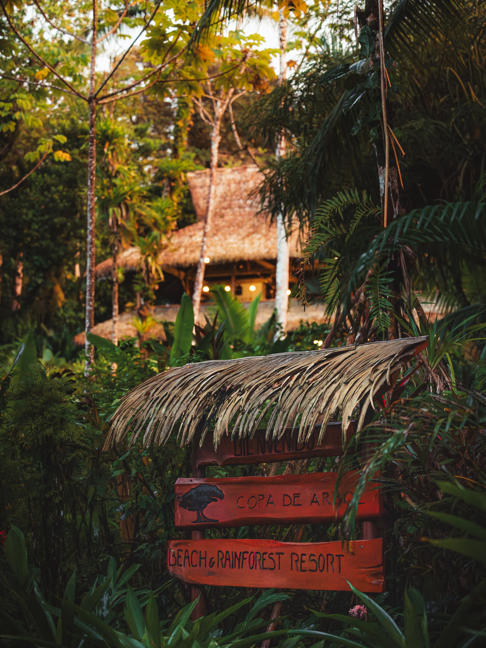 Arriving at Copa de Árbol Beach & Rainforest Resort
