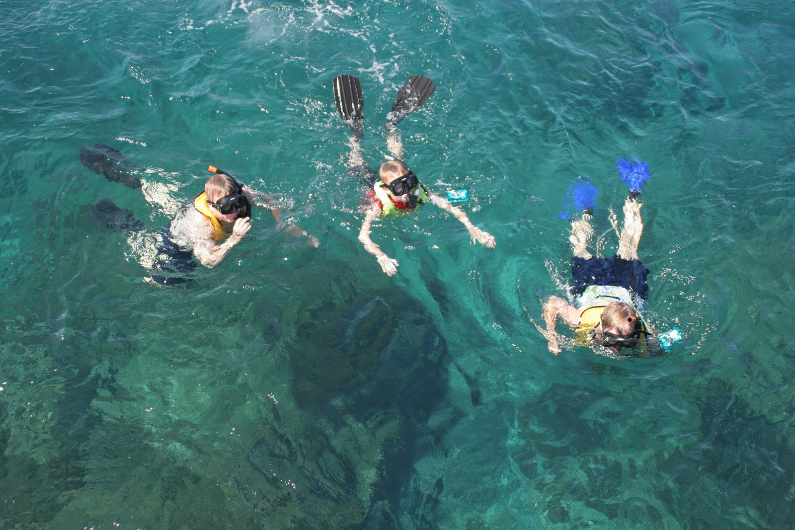 Snorkeling at Caño Island off Drake Bay