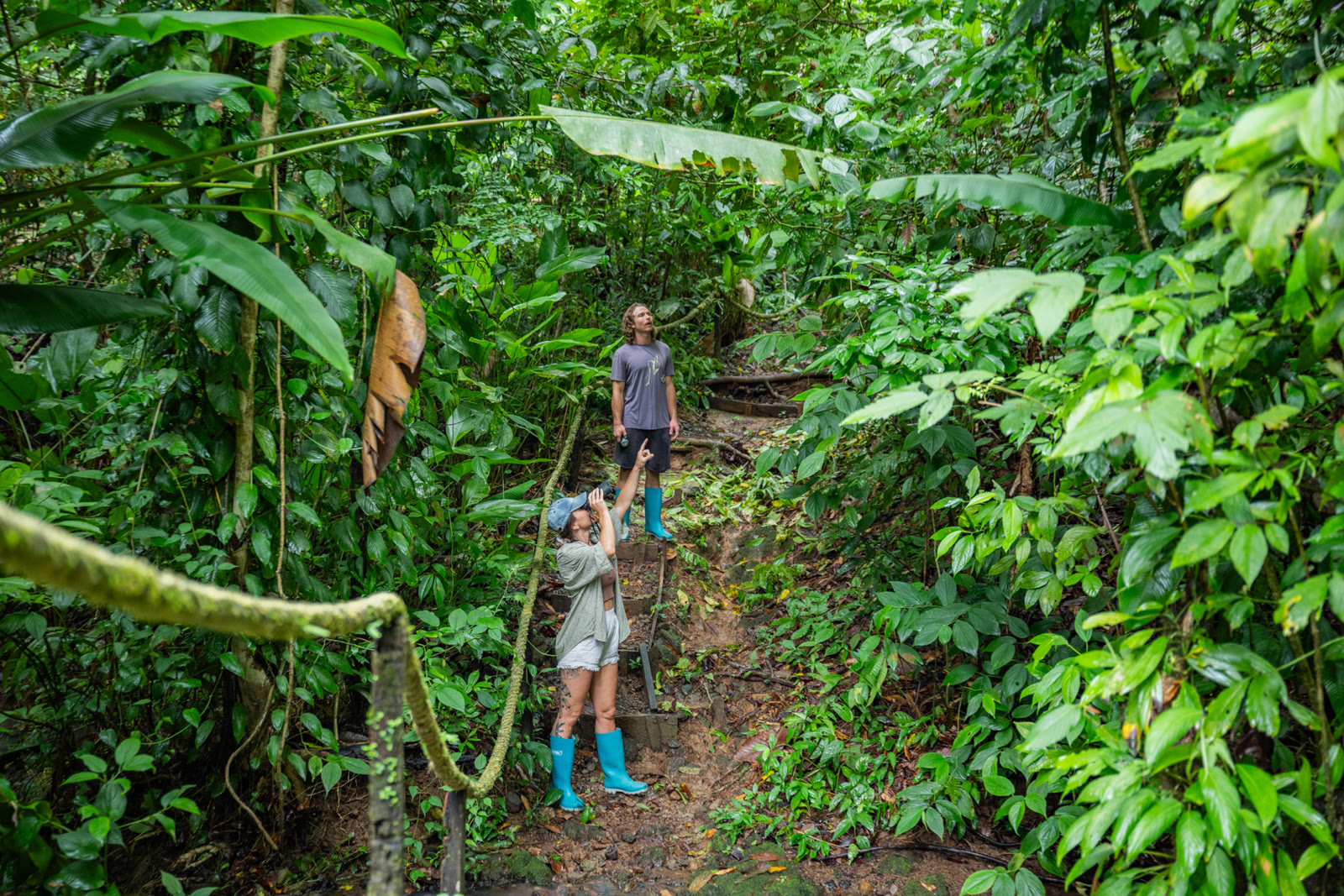 Hiking in Corcovado National Park, Osa Peninsula