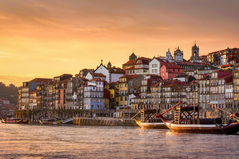 A full private day touring Porto