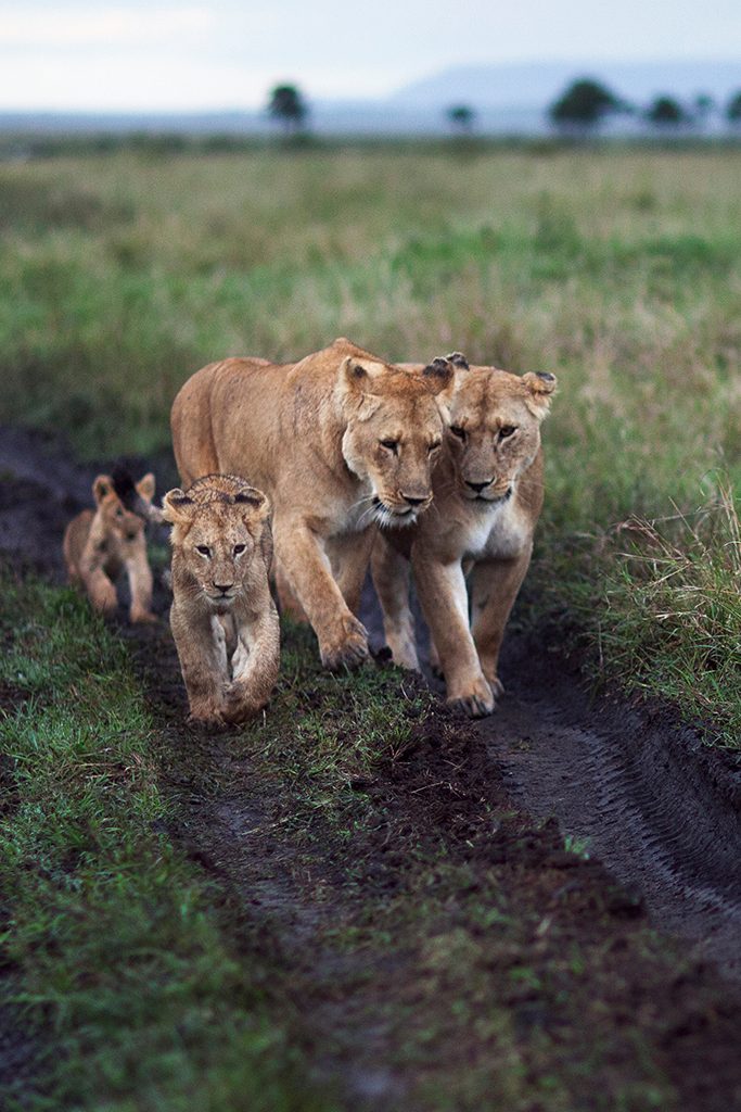 A&K Small Group Journey