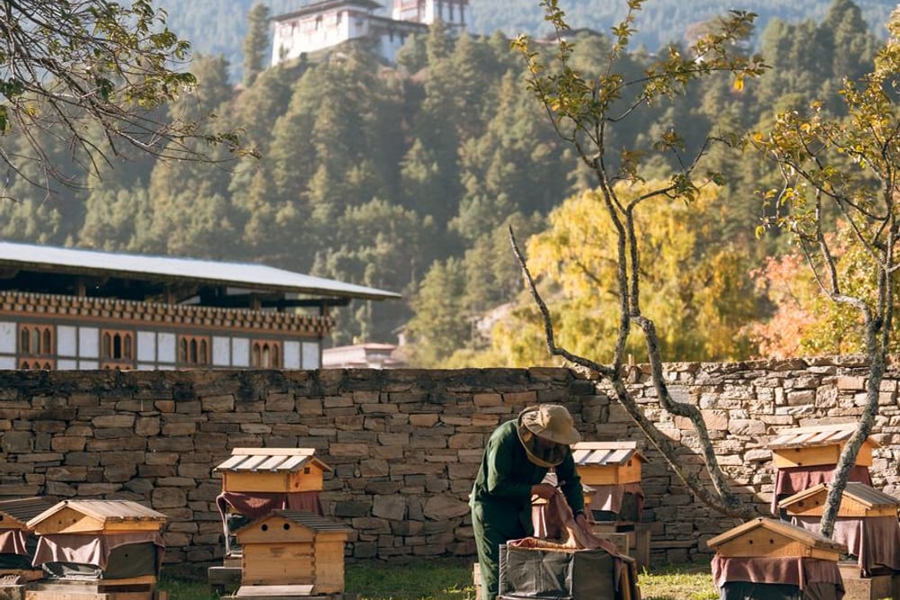 Amankora, Paro, Bhutan
