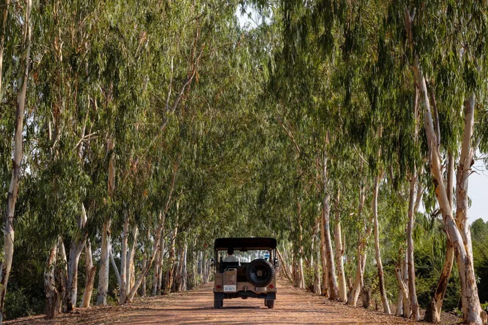 Amansara, Siem Reap, Cambodia