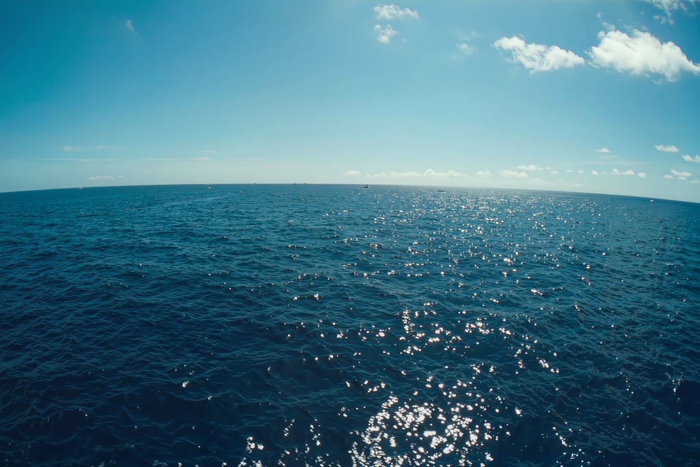 At Sea