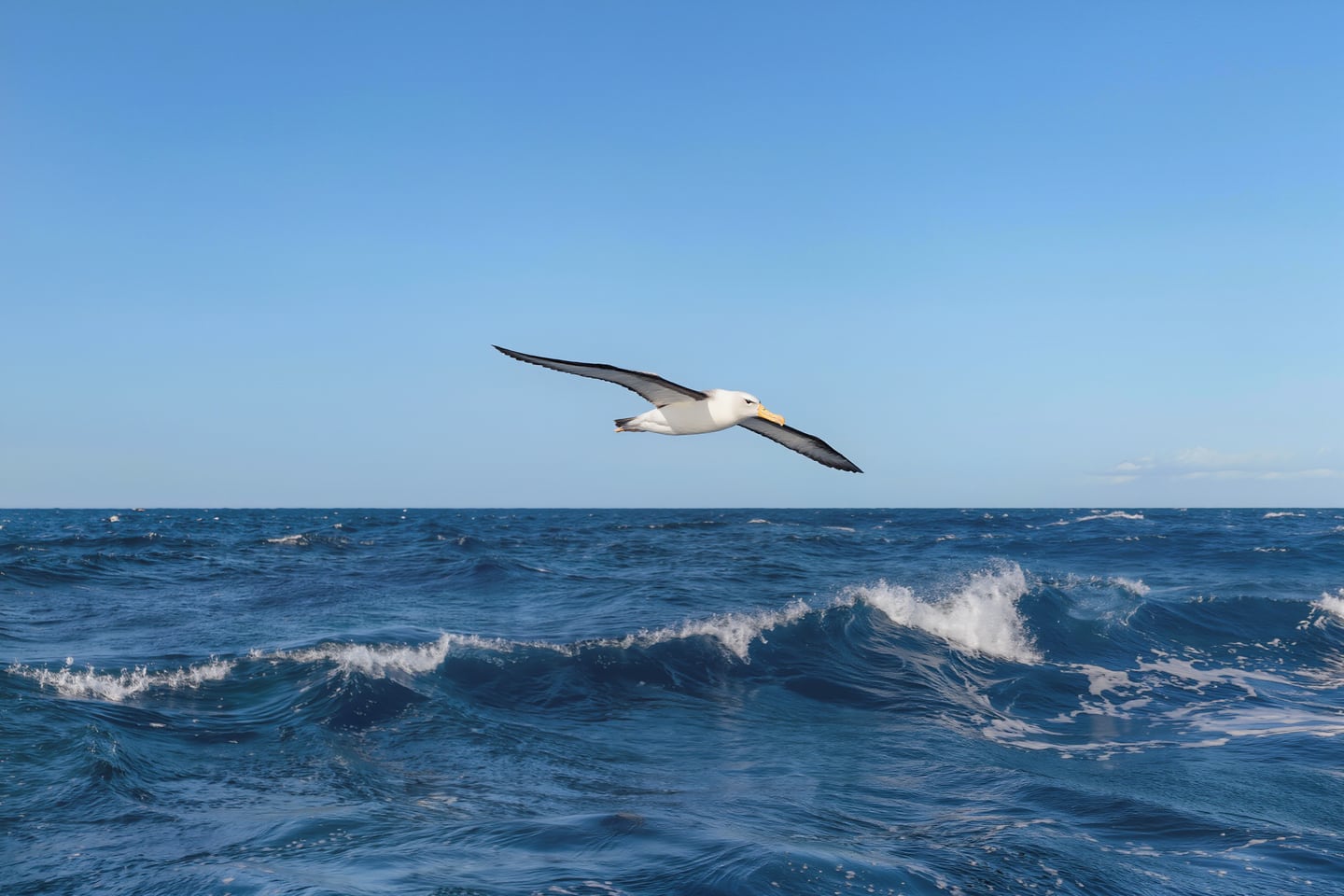 At Sea