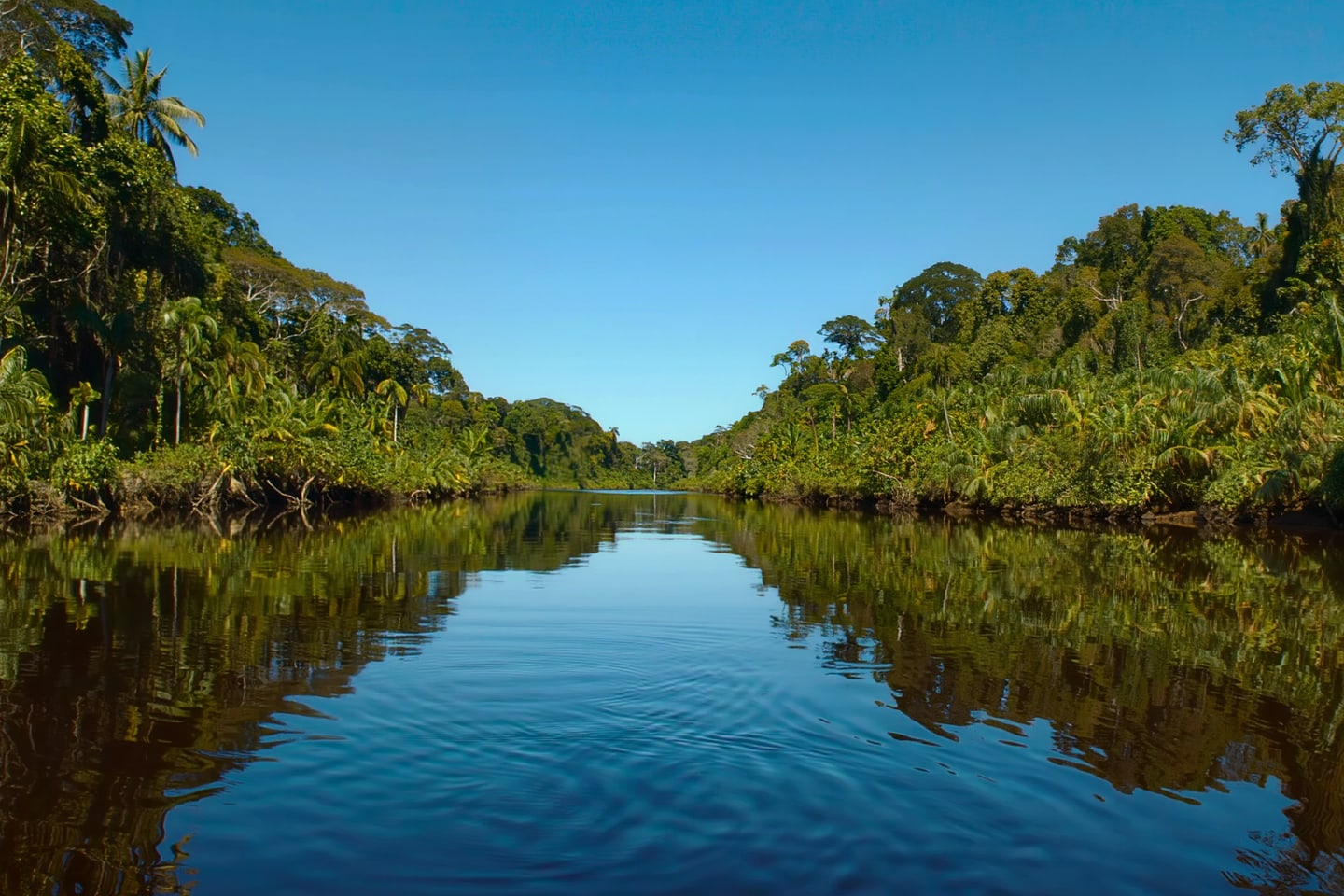 Cruising The Amazon River
