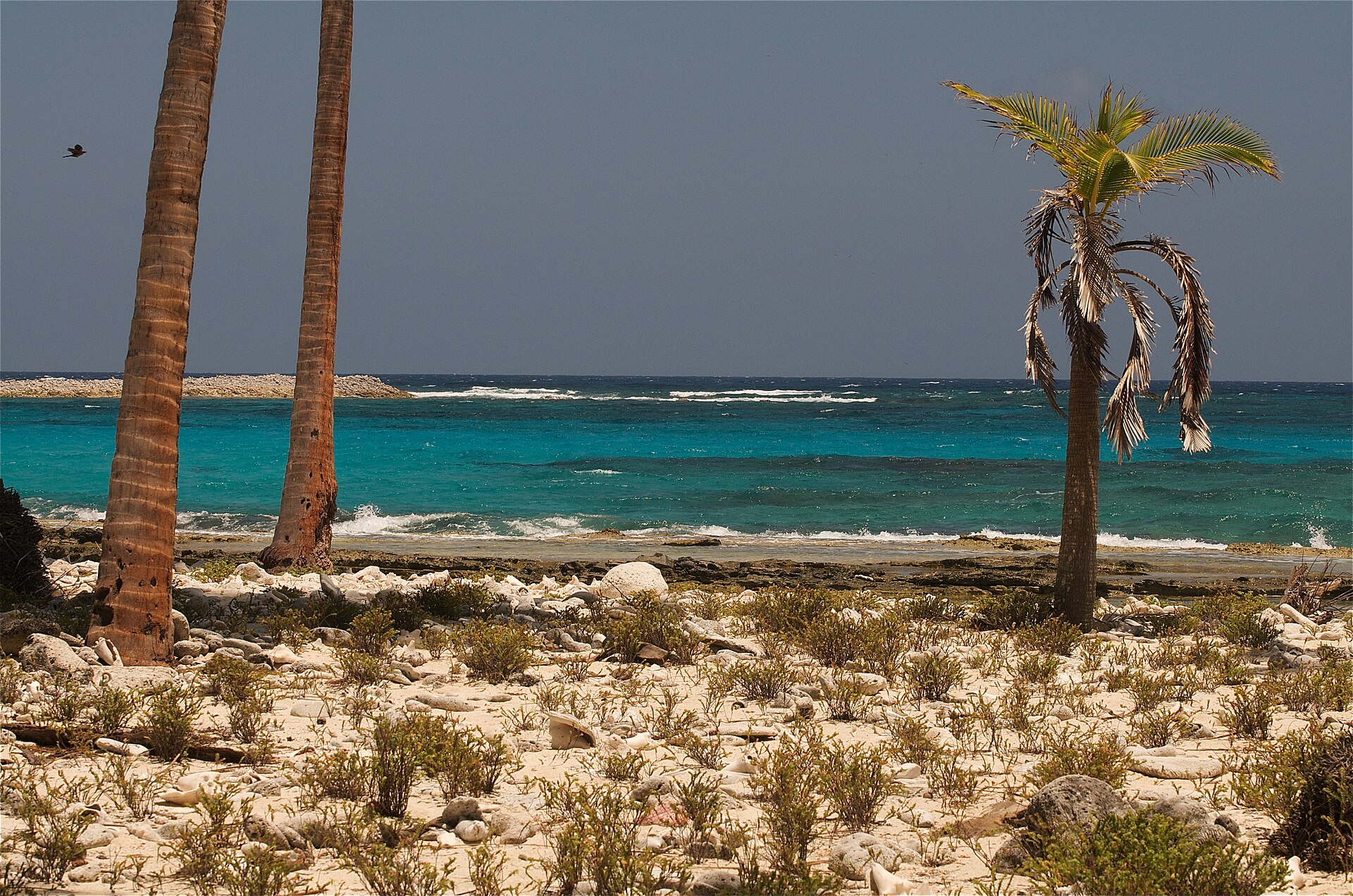 Harvest Caye, Belize