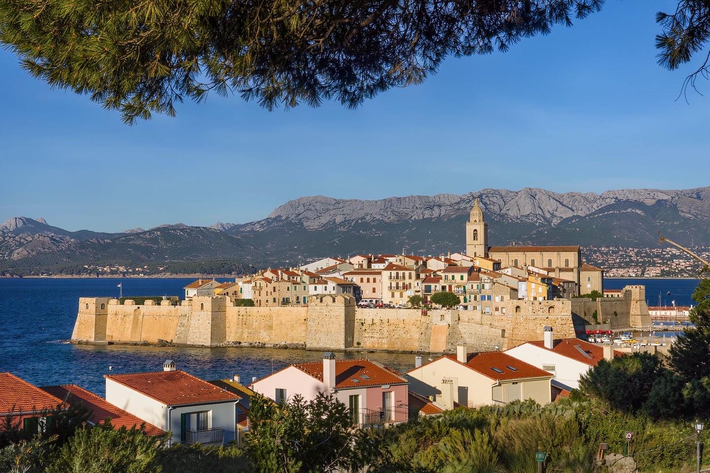 Calvi