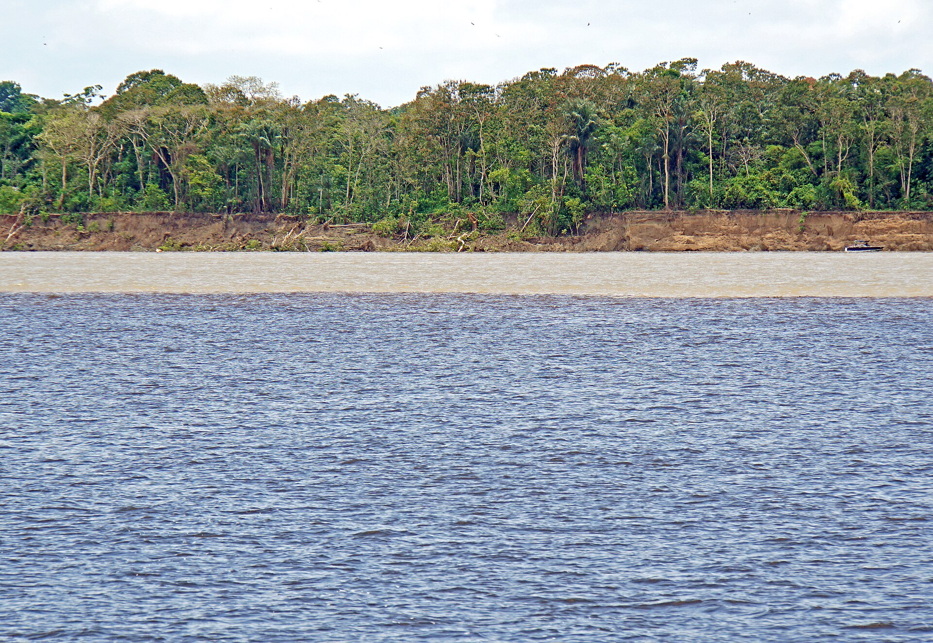 Cruise Amazon River