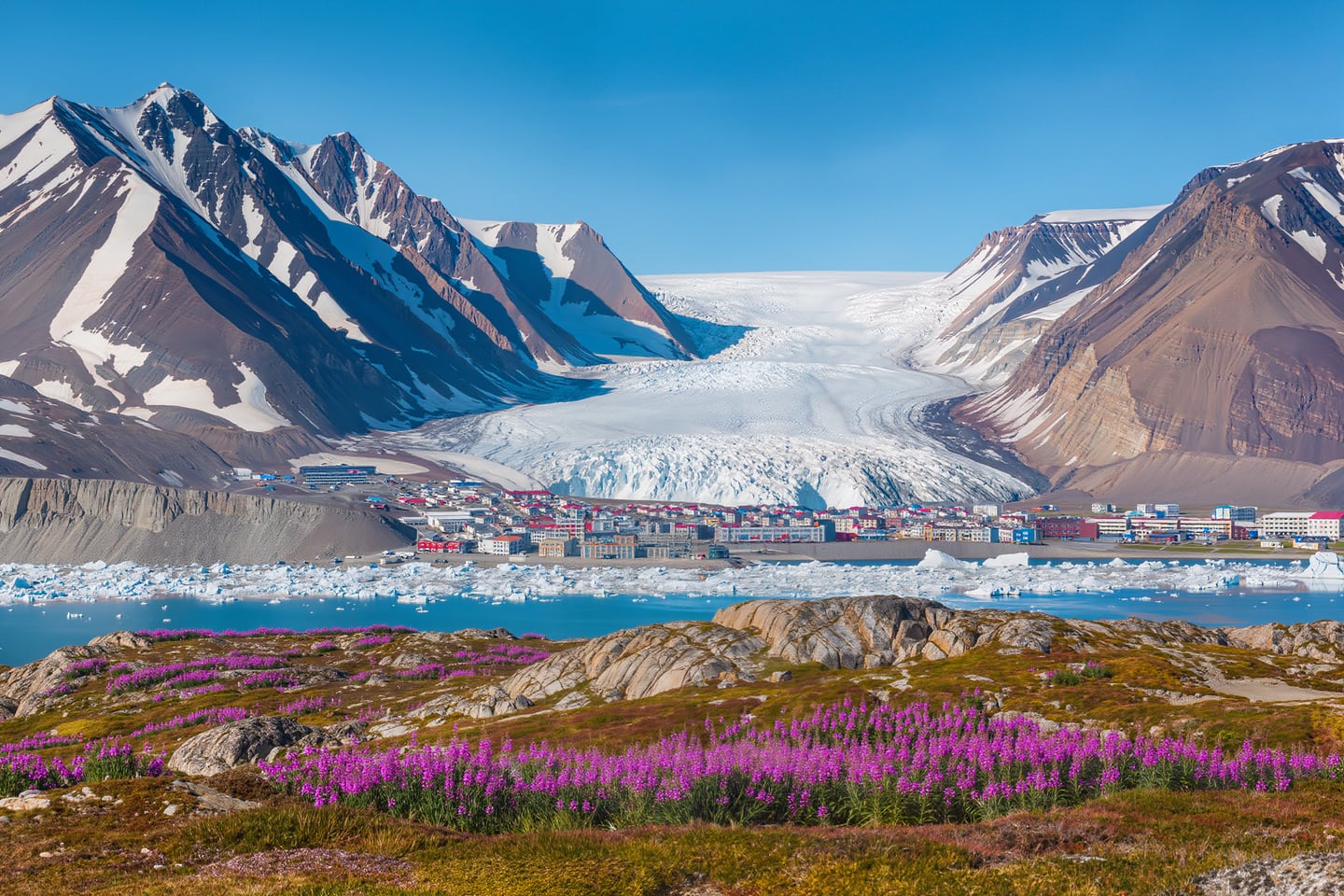 East Greenland Experience