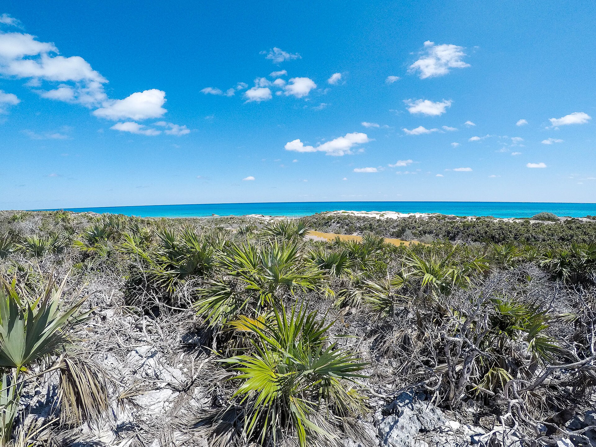 George Town, Great Exuma