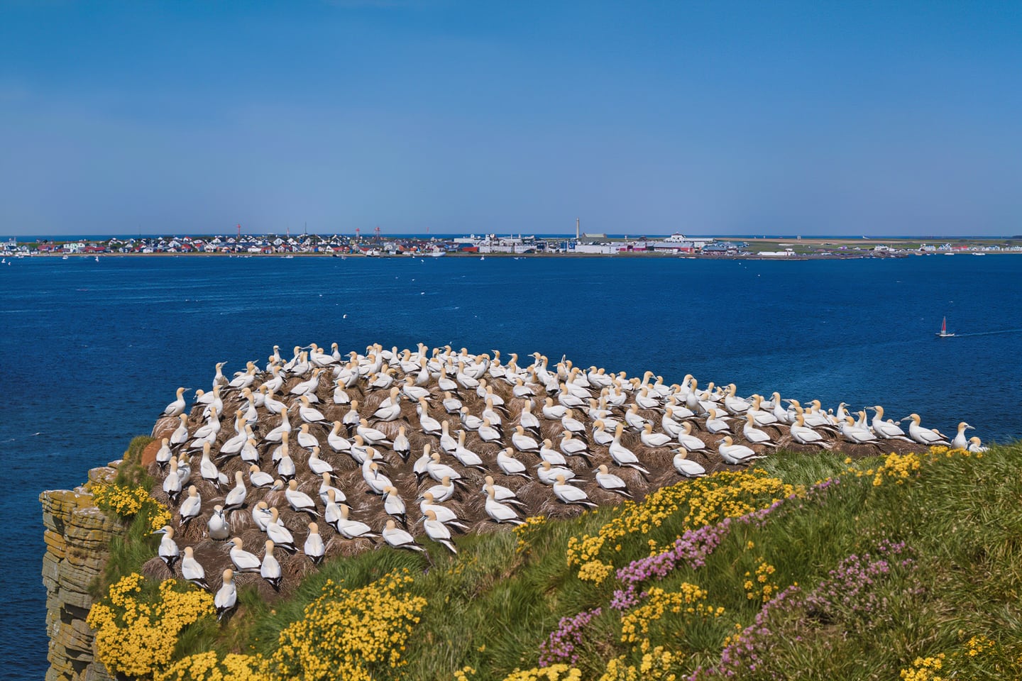 Gannett Island
