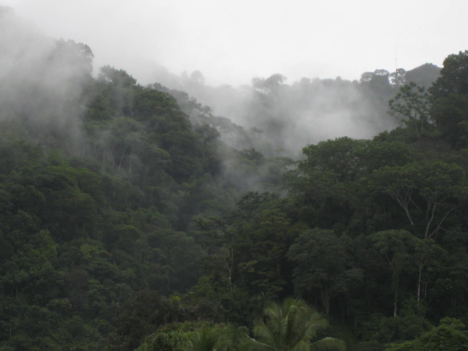 Río Esquinas, Costa Rica