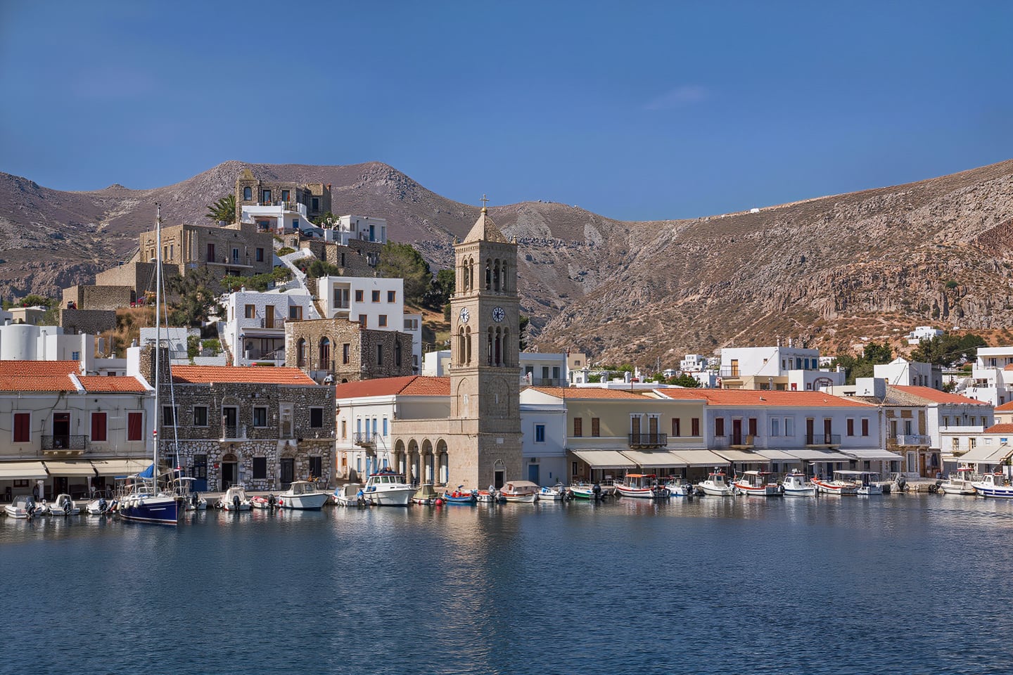Hydra