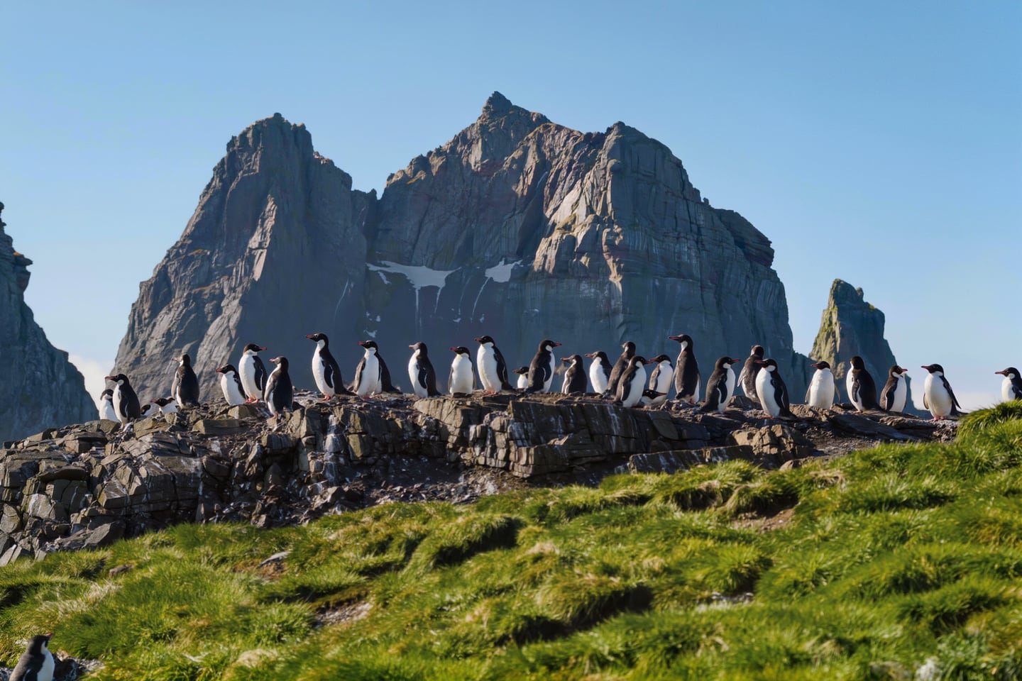 Inaccessible Island