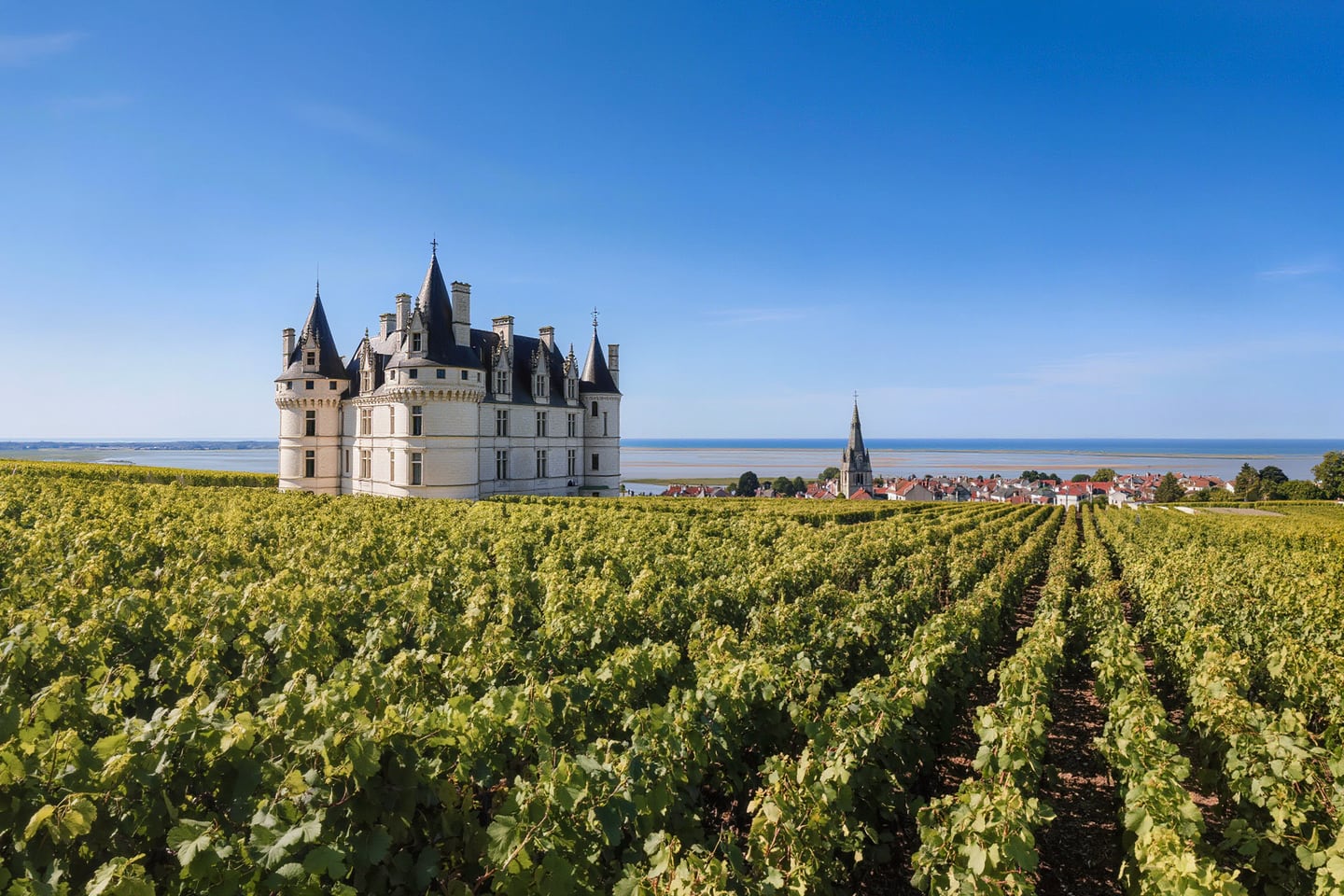 Pauillac