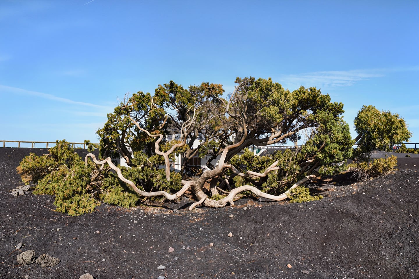 Puerto de la Estaca, El Hierro, Spain