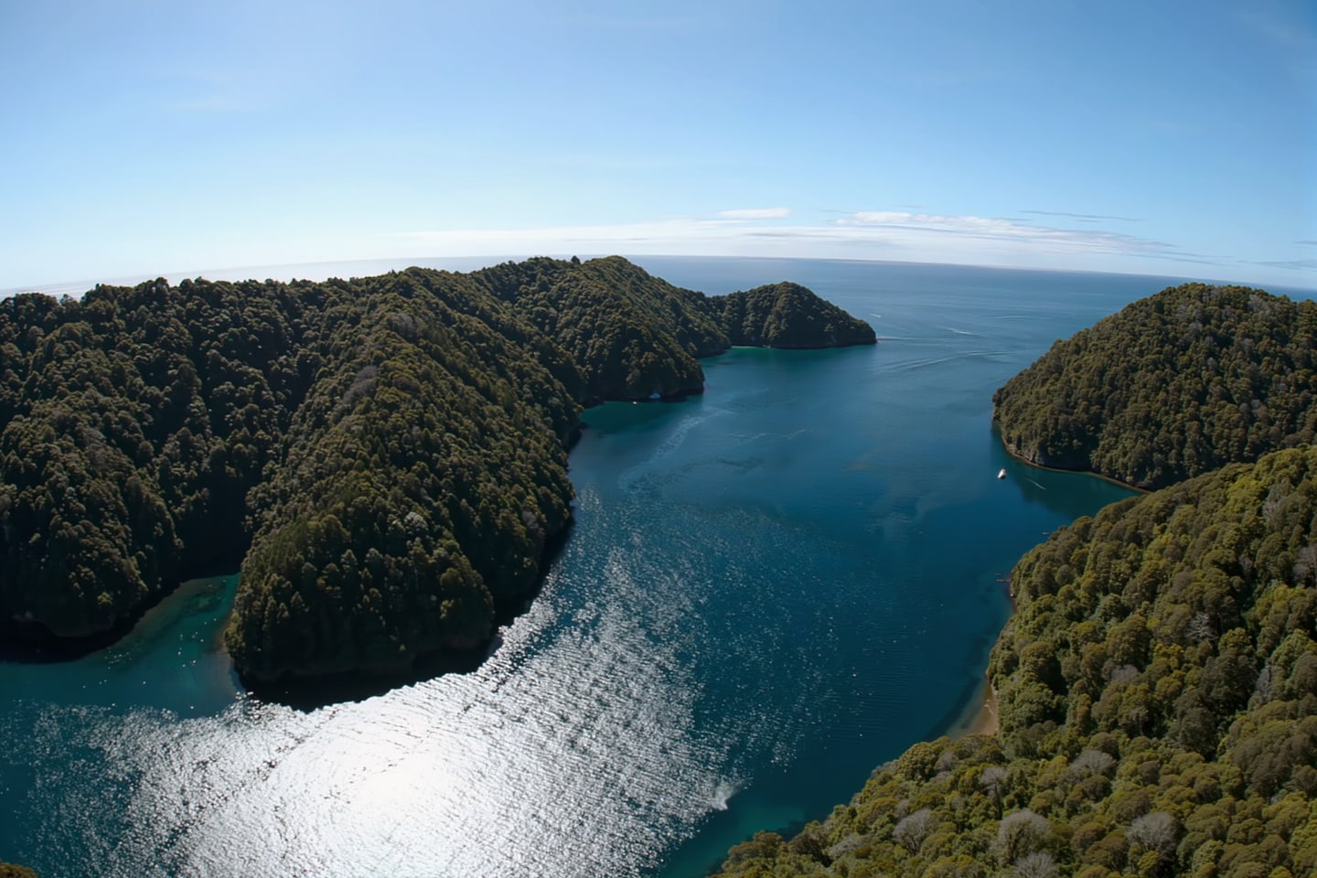 Cruising the Queen Charlotte Sound