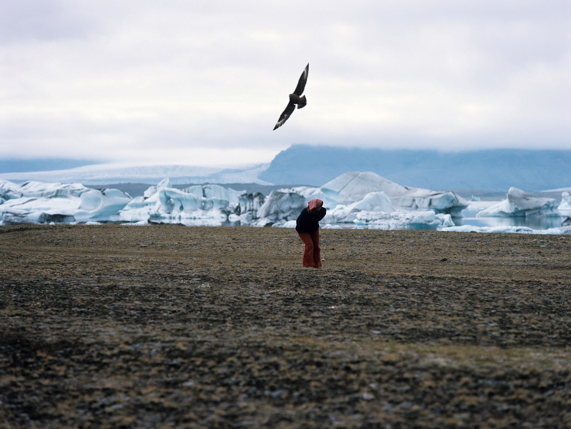 Skua Glacier (sailing)