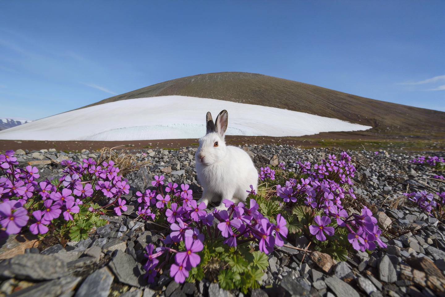 The Seabourn Ellesmere Island Experience (Day 1)