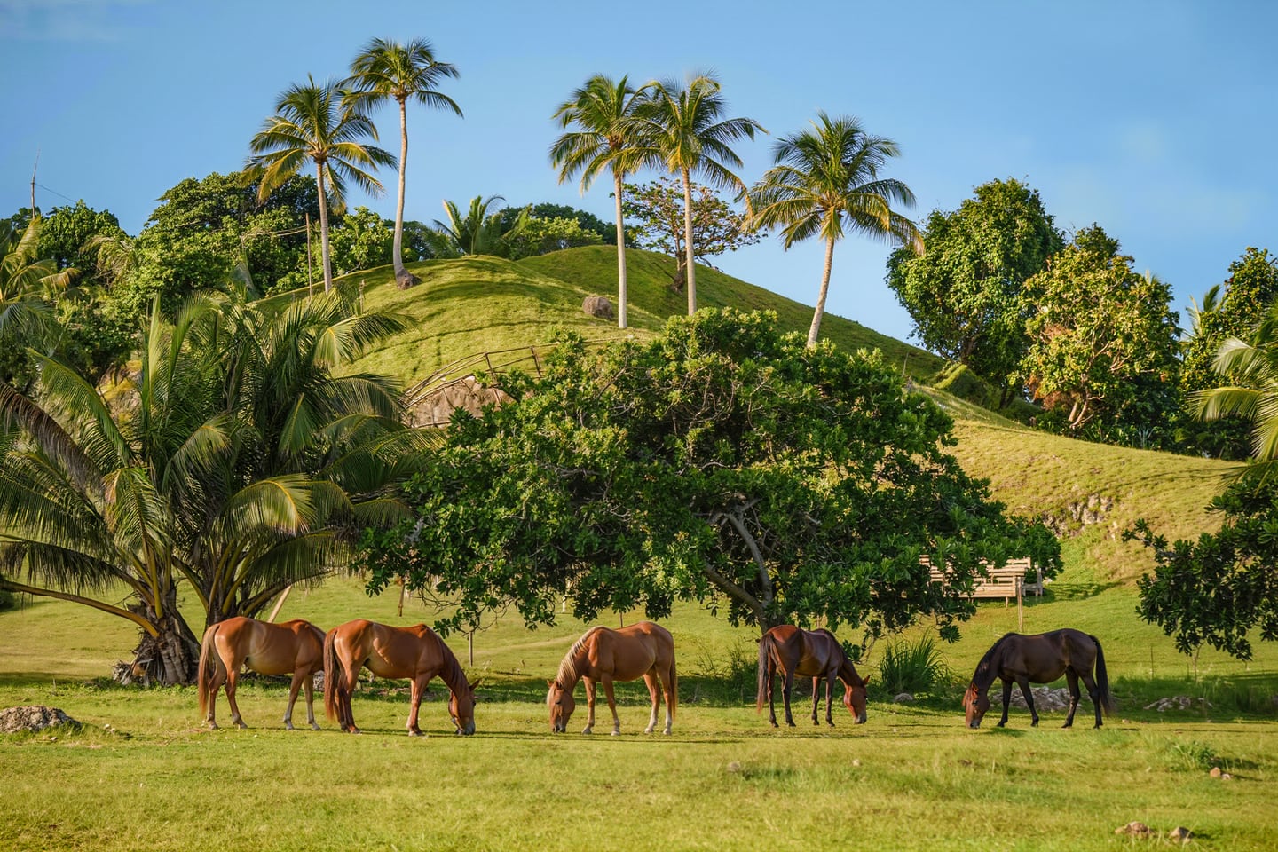 Vieques, Puerto Rico