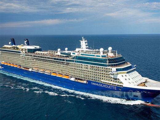 Celebrity Silhouette