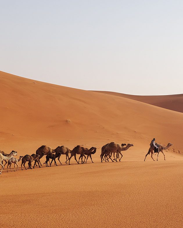 Curated Journeys, Explora Journeys