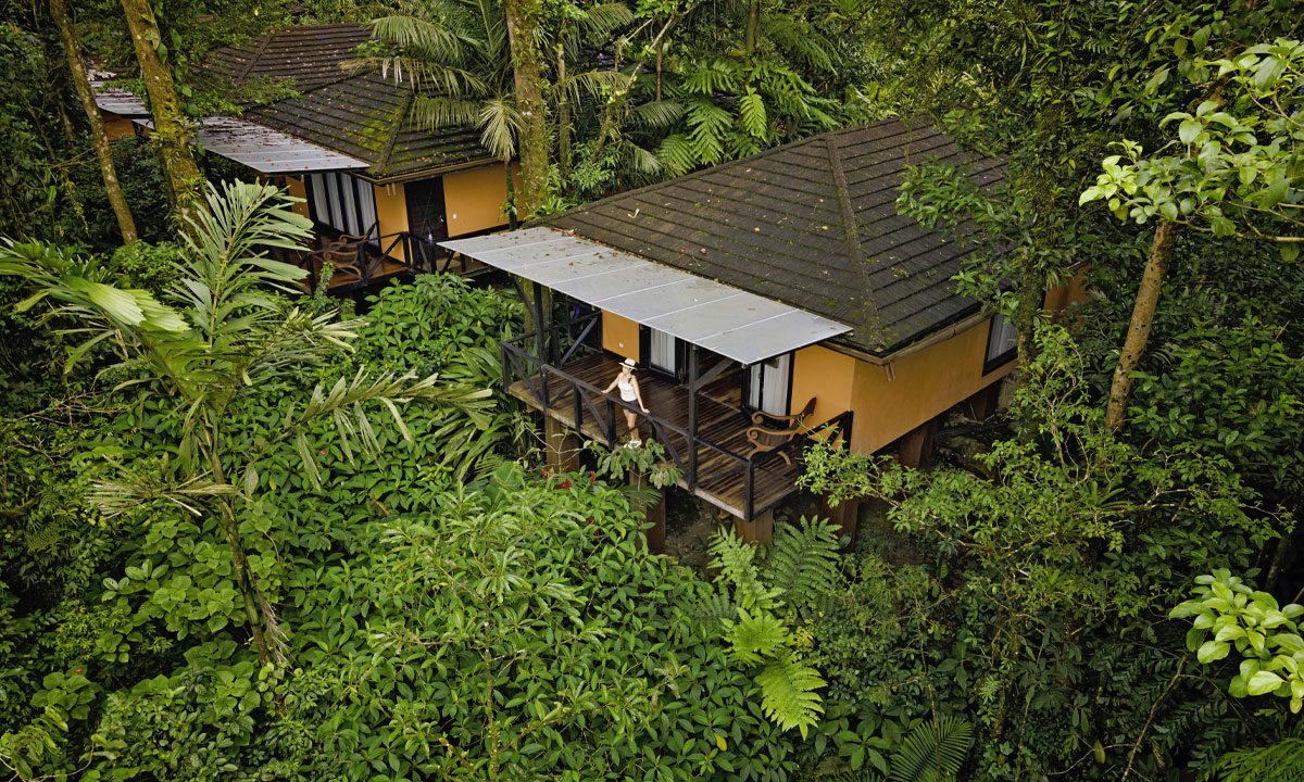 Heavenly meals and elevated pacing