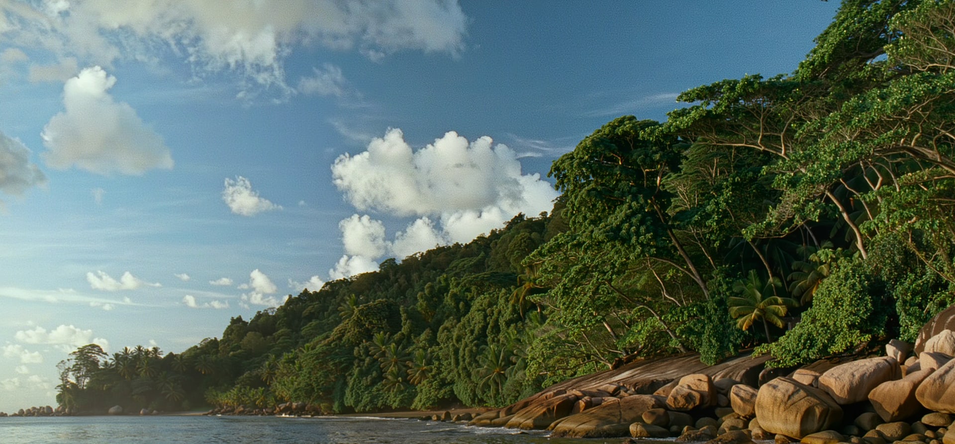 The Americas &amp; Caribbean