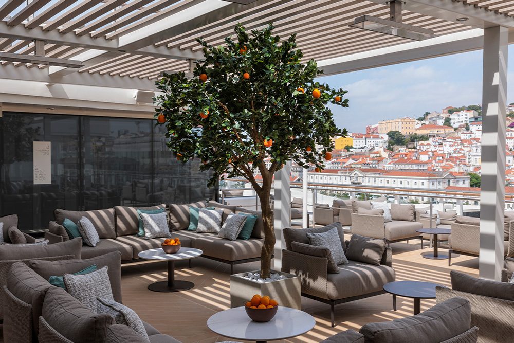 S.A.L.T. dining on Silver Ray