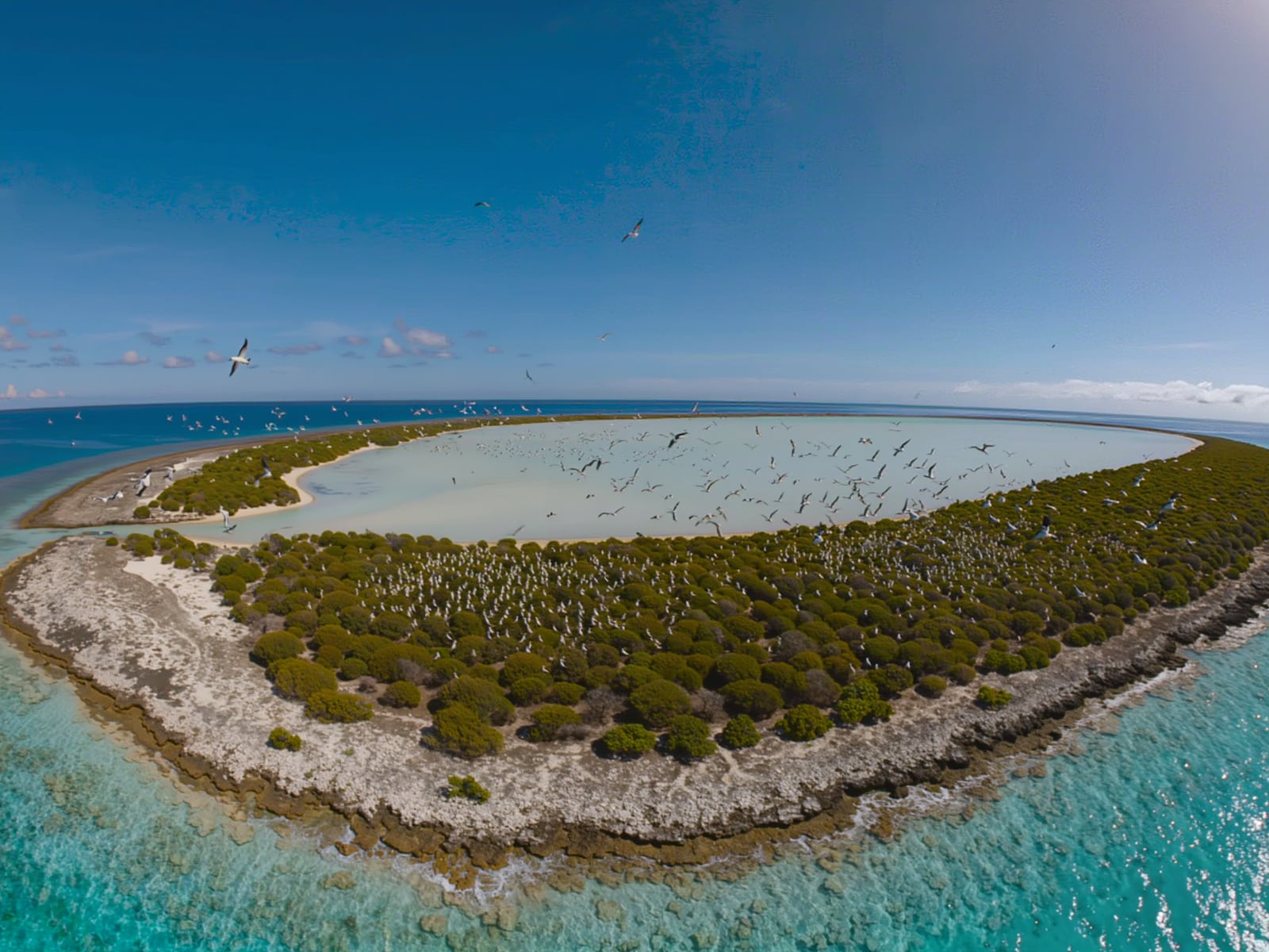 Ducie Island, Pitcairn Islands