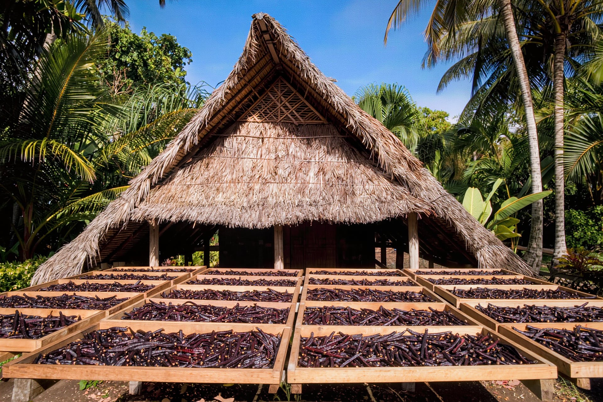 Taha'a, French Polynesia