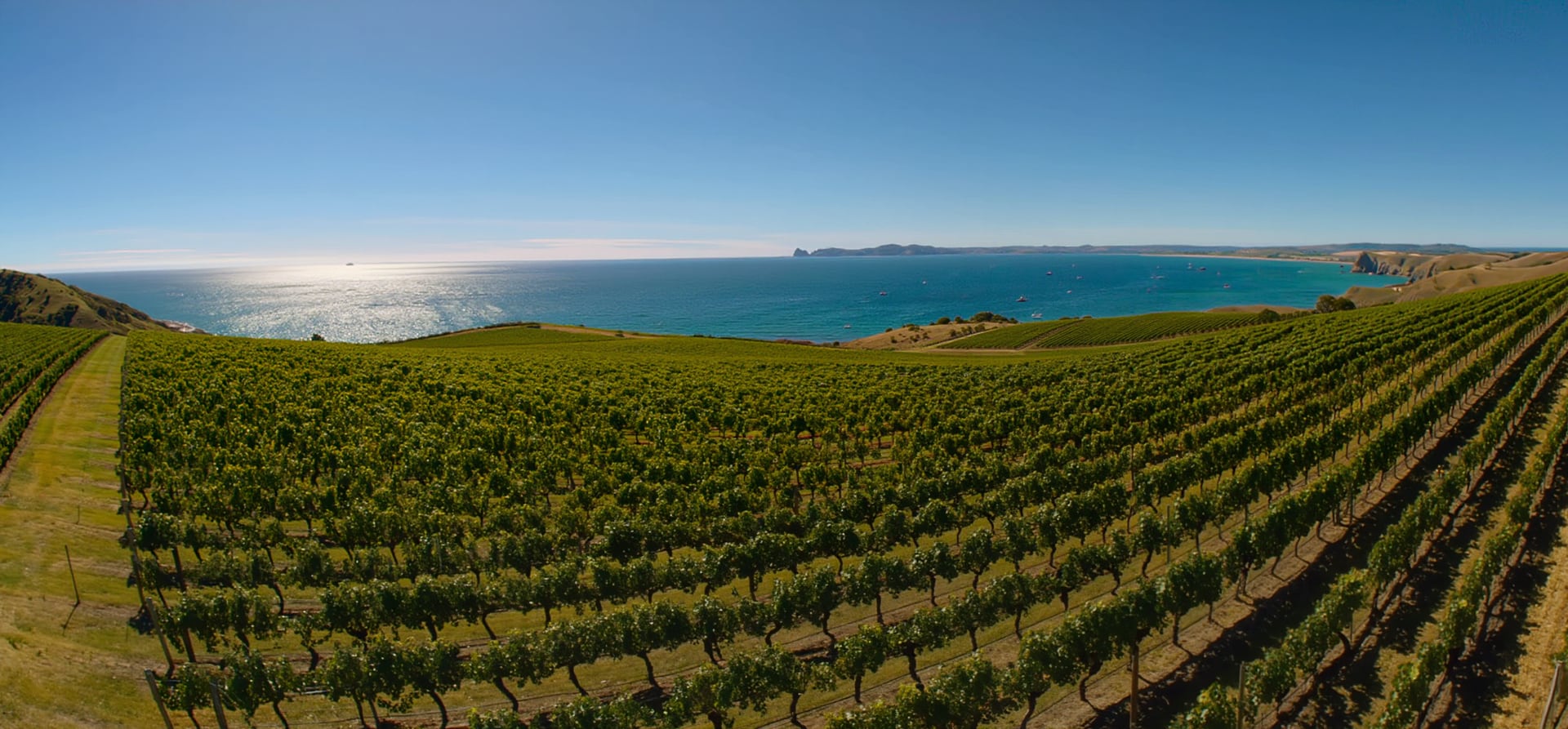 9 Night Australia Wine Cruise