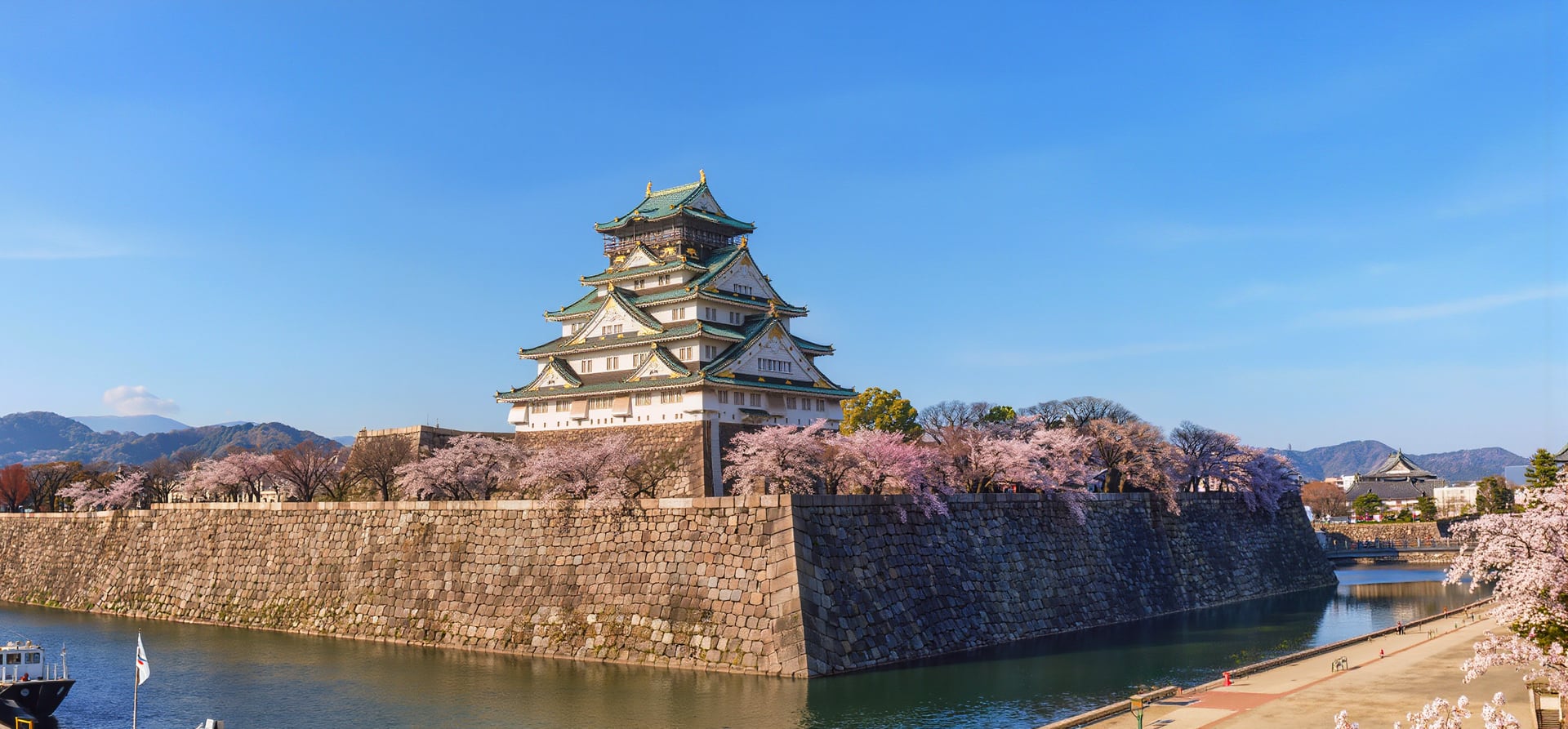 13 Night Japan Cherry Blossoms
