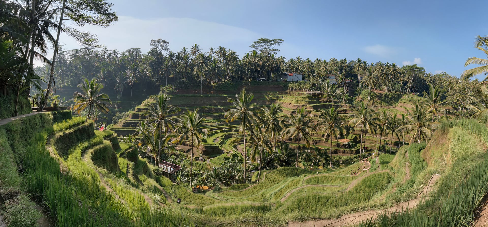 Balinese Immersion