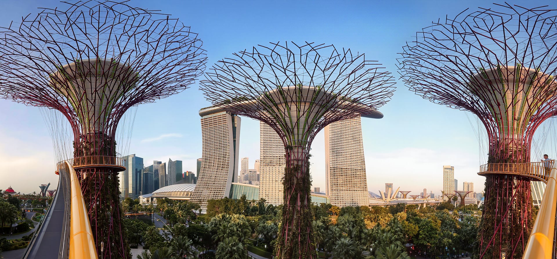 Wild Orchids & Supertrees