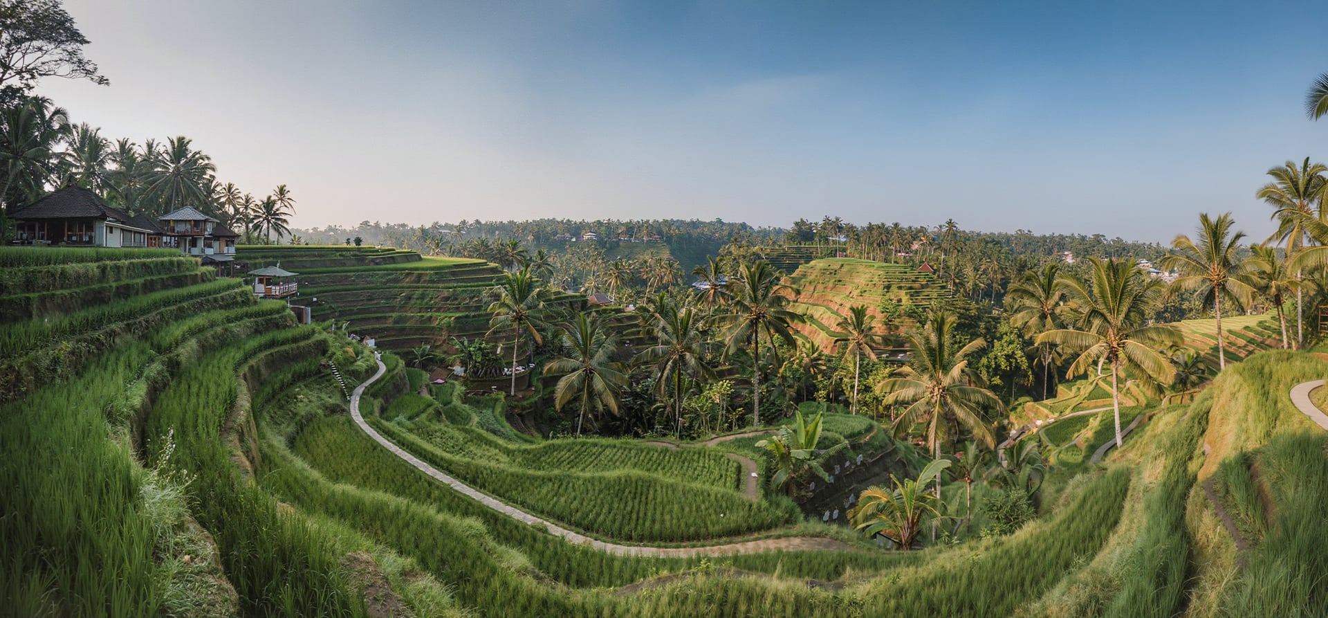 Hong Kong/Bali