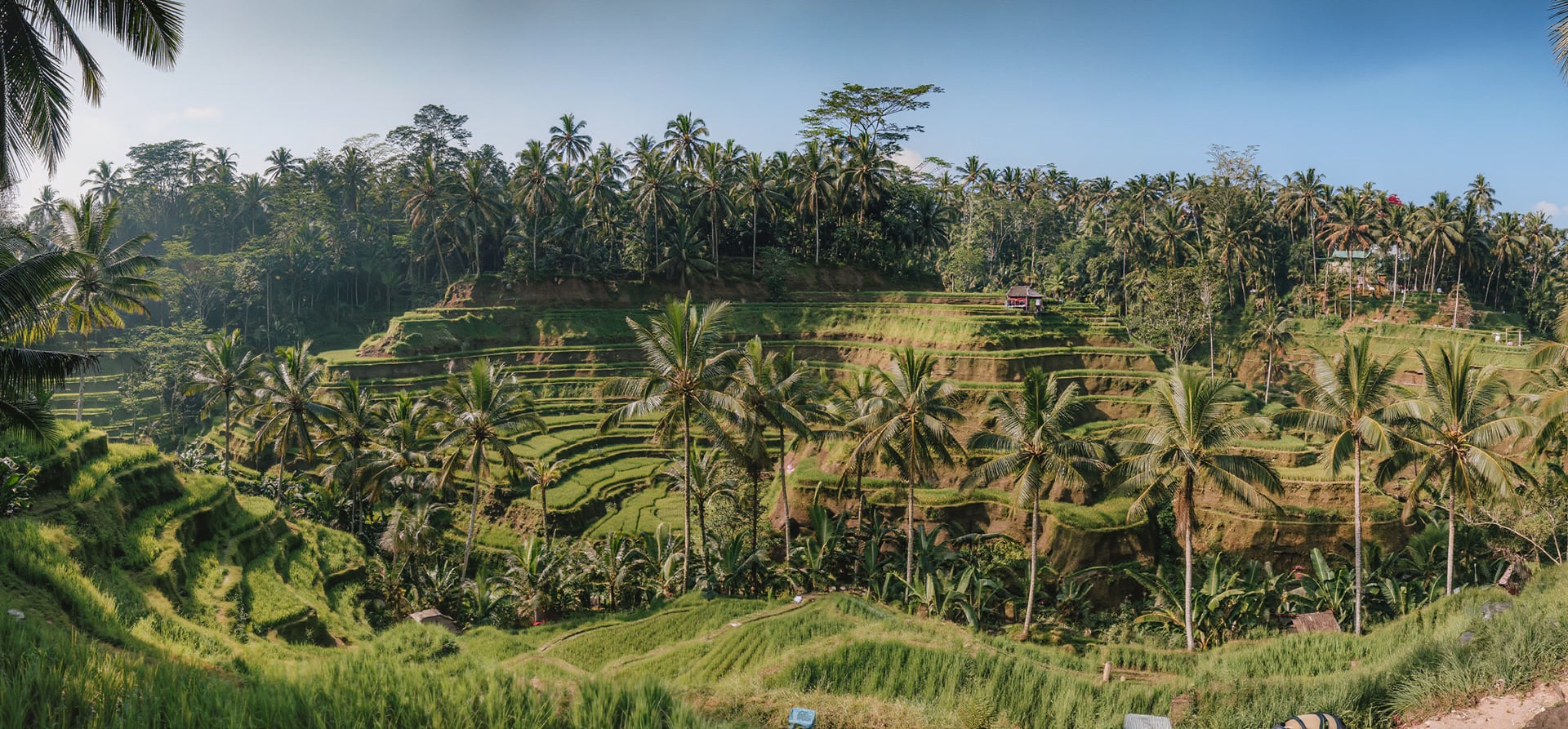Phuket/Bali