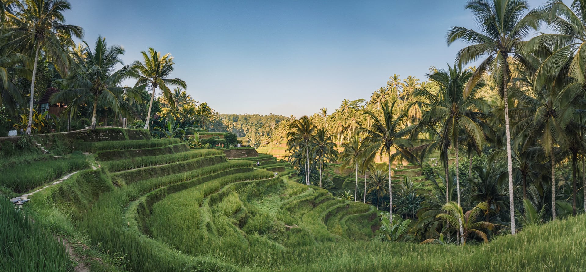 Singapore/Bali