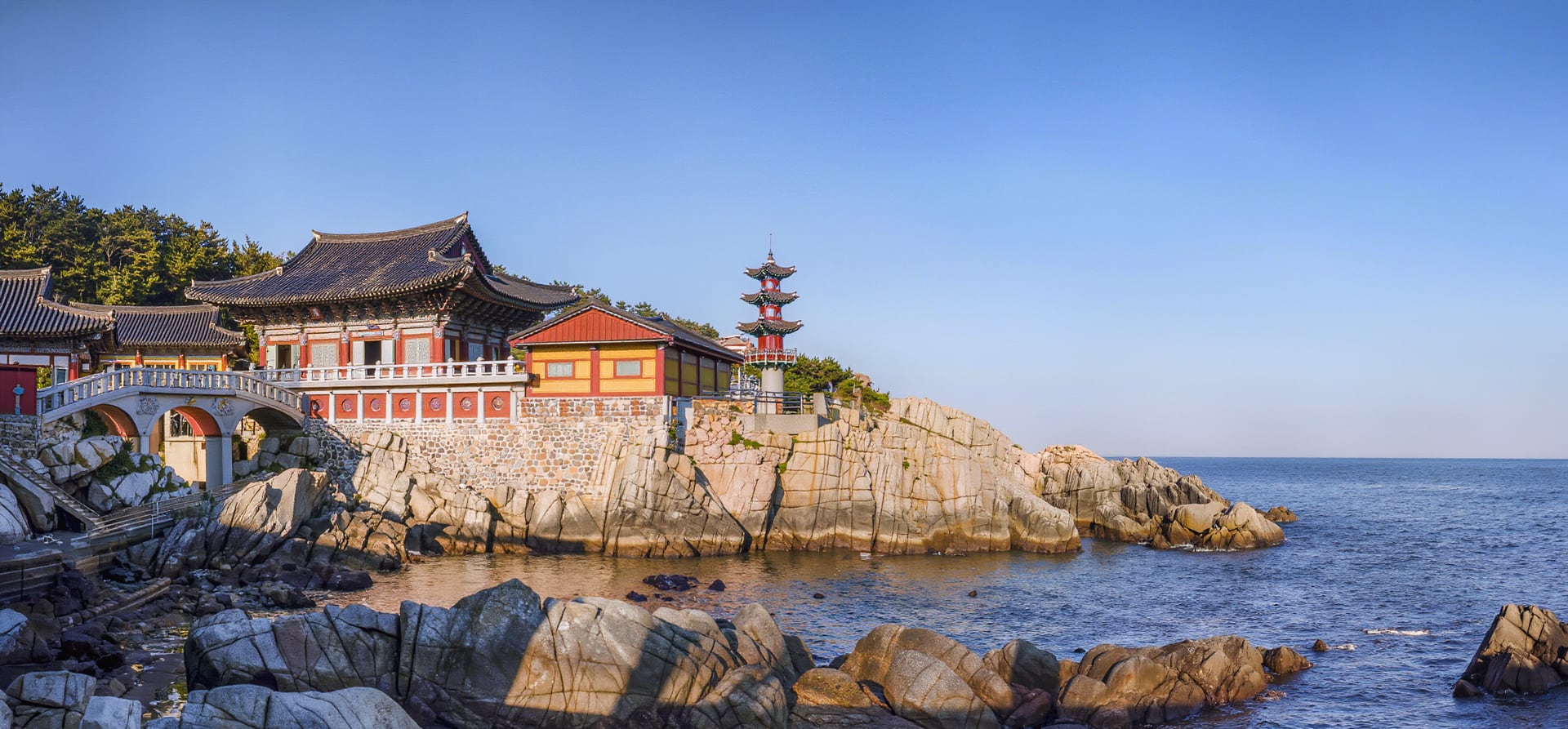 14-Day Sea Of Japan & Plum Blossoms