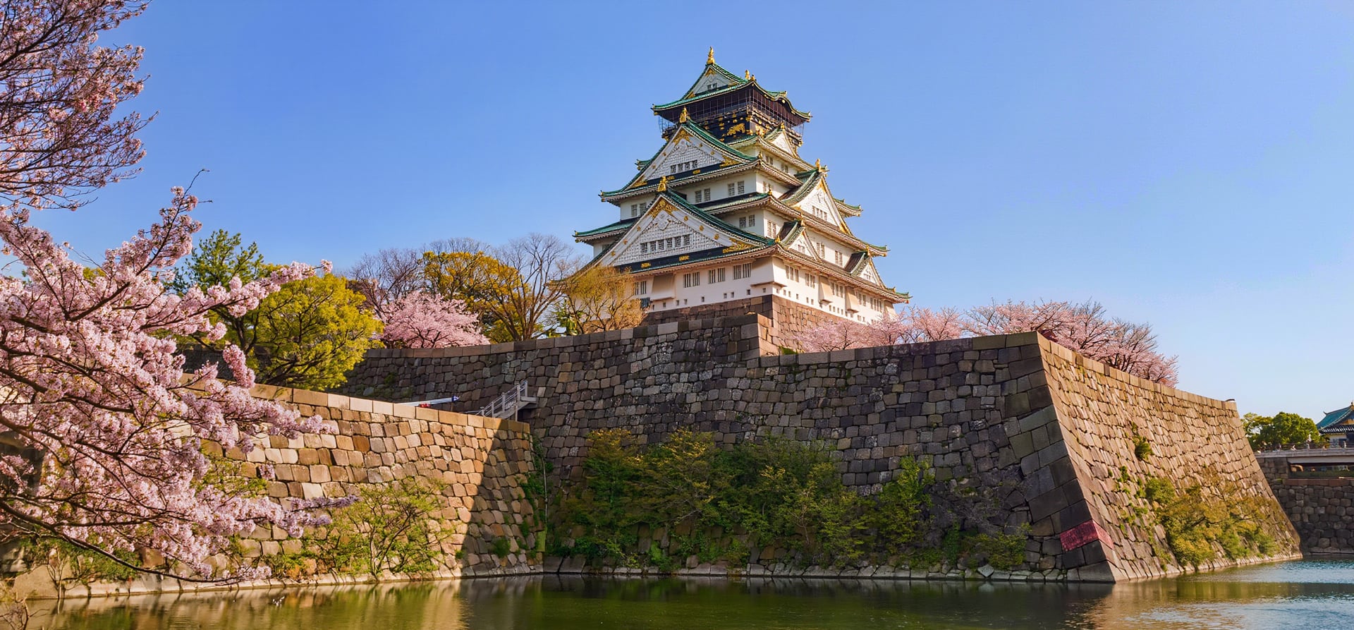 40-Day Taiwan, Korea & Japan's Plum Blossoms