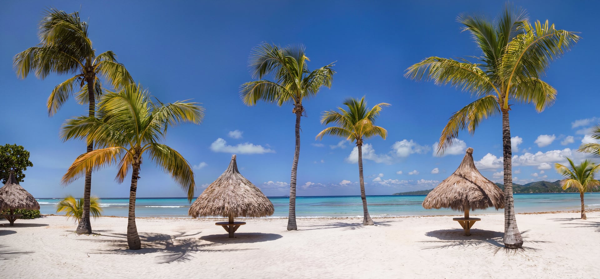 The Americas &amp; Caribbean