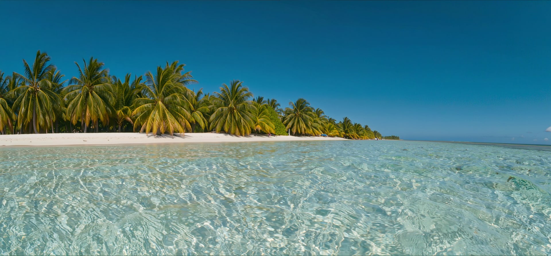 Caribbean Enchantment: roundtrip Antigua