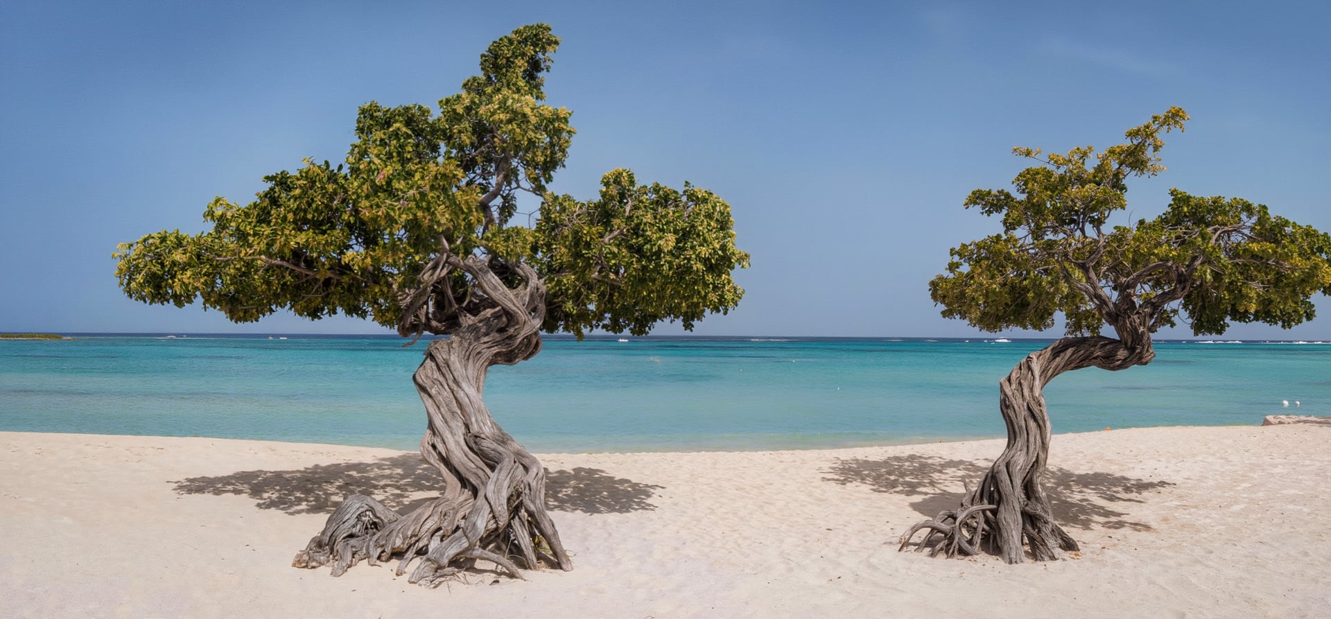 Discover the Pearls of the Caribbean