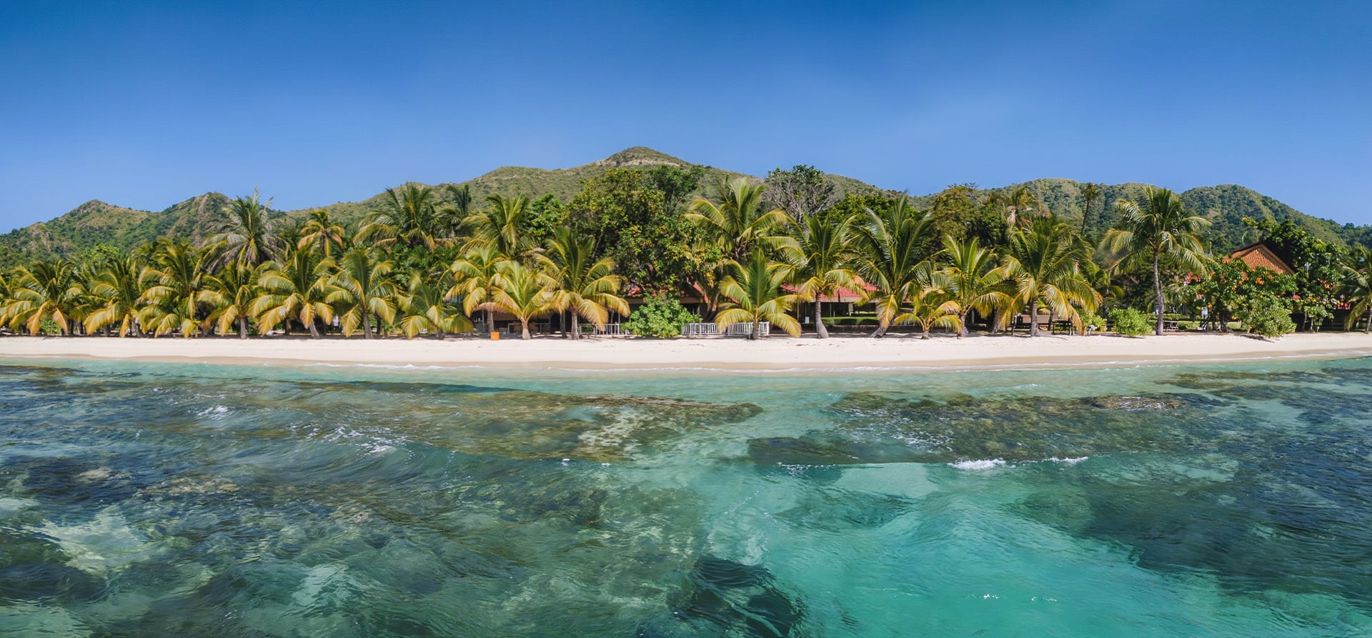 A Journey Into Tropical Idylls &amp; Mayan Mystery