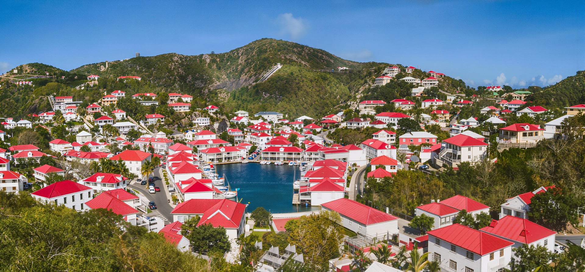 Lesser Antilles featuring the Grenadines & Dominica