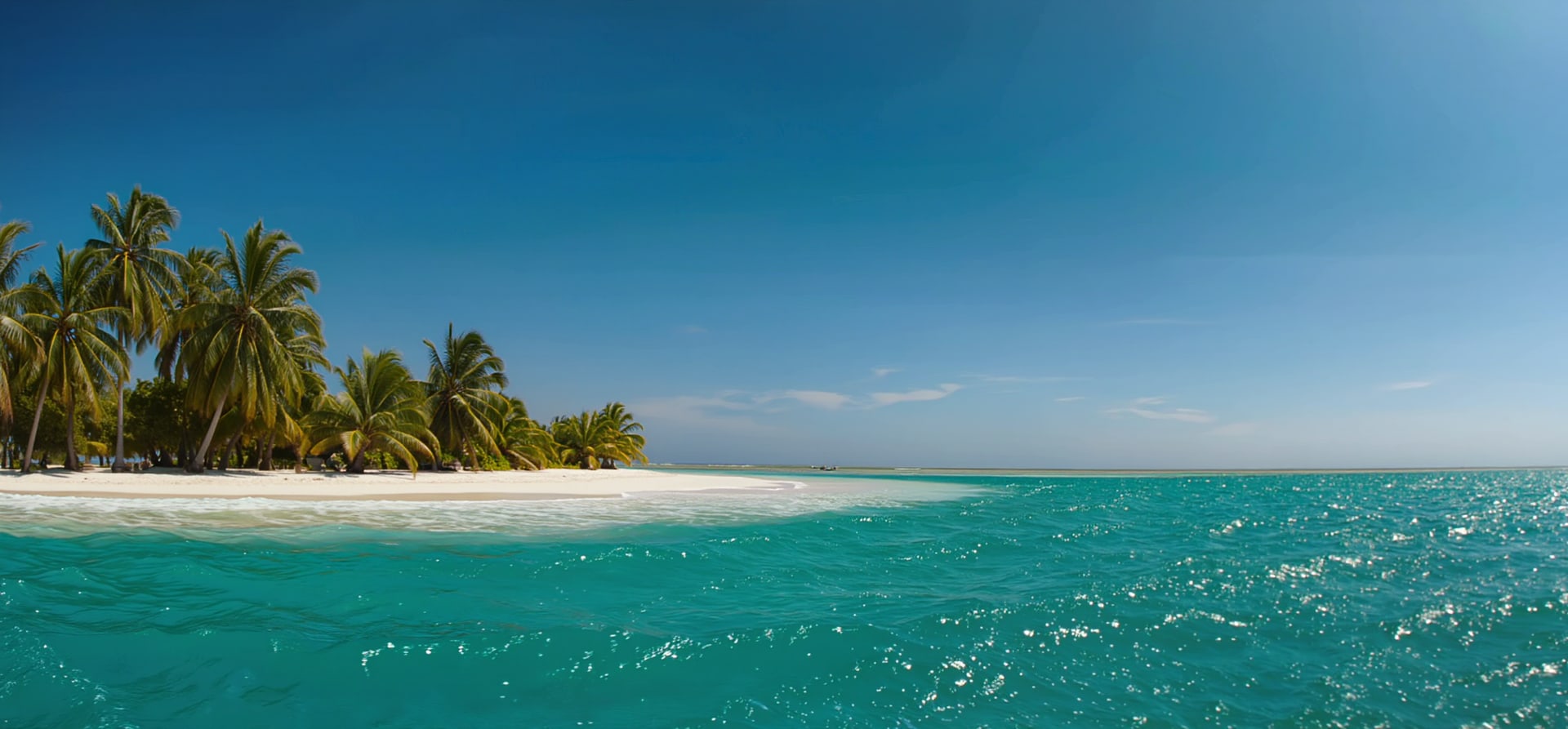 The Grenadines &amp; Leeward Isles