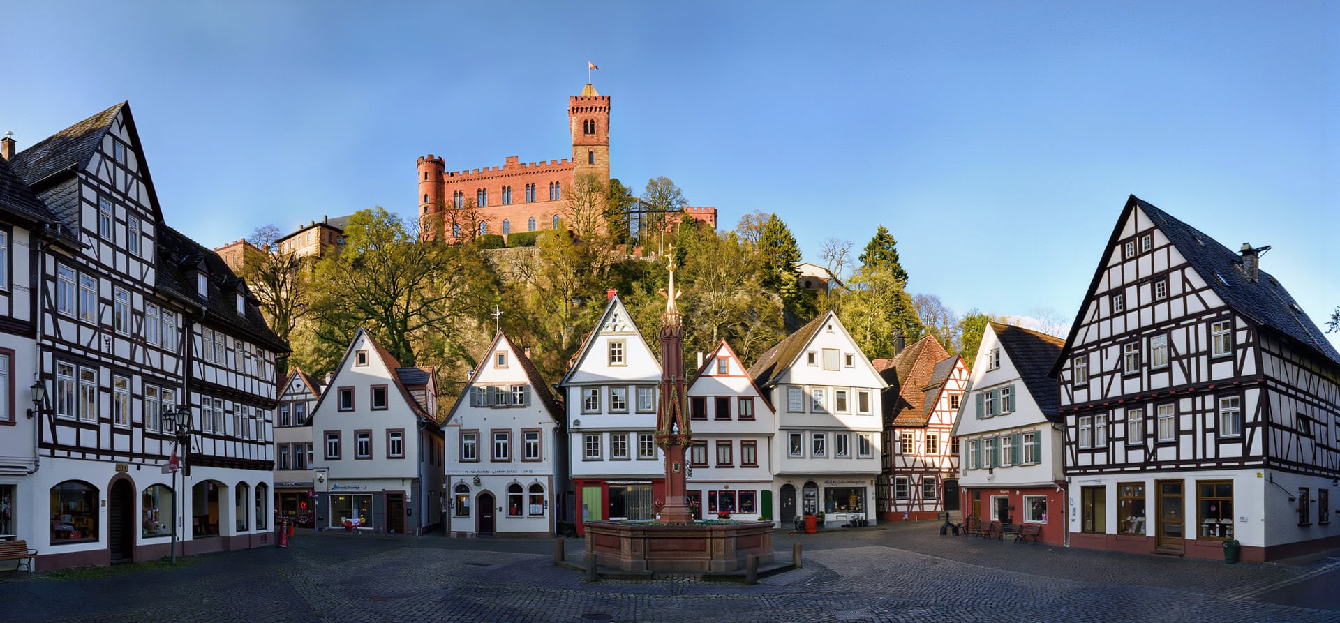 7 Night Main & Rhine New Year's Cruise